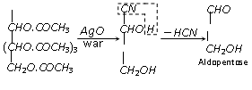 2298_interconversion of glucose3.png